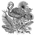 Vector illustration of a Flamingo bird in a tropical garden in an engraving style Royalty Free Stock Photo